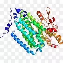 人体首饰有机体线剪贴画线-空若网 人体首饰有机体线剪贴画线-空若网