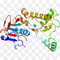 线点生物剪贴画线-空若网 线点生物剪贴画线-空若网