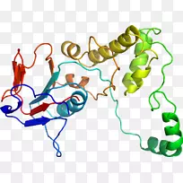 线点生物剪贴画线-空若网 线点生物剪贴画线-空若网