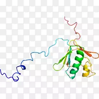 线点生物剪贴画线-空若网 线点生物剪贴画线-空若网