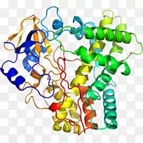人体首饰有机体线剪贴画线-空若网 人体首饰有机体线剪贴画线-空若网