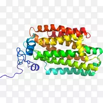 珠宝首饰剪贴画.珠宝-空若网 珠宝首饰剪贴画.珠宝-空若网