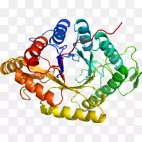 人体首饰有机体线剪贴画线-空若网 人体首饰有机体线剪贴画线-空若网