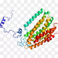 人体珠宝珠夹艺术.珠宝-空若网 人体珠宝珠夹艺术.珠宝-空若网
