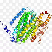 人体首饰有机体线剪贴画线-空若网 人体首饰有机体线剪贴画线-空若网