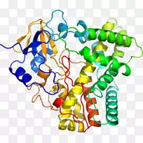 ������Ϊ���߼�������-������