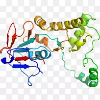 直线点生物动物剪贴画线-空若网 直线点生物动物剪贴画线-空若网