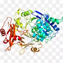 人体首饰有机体线剪贴画线-空若网 人体首饰有机体线剪贴画线-空若网