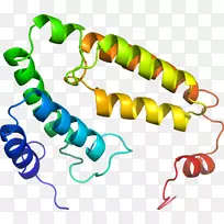 人体珠宝线有机体剪贴画线-空若网 人体珠宝线有机体剪贴画线-空若网