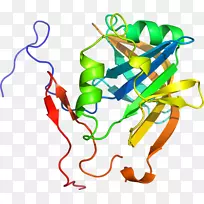 ����ƽ����Ƶ��������-������