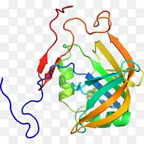 �ߵ������������-������