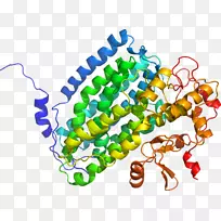 ���������л����߼�������-������