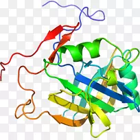 线点生物剪贴画线-空若网 线点生物剪贴画线-空若网