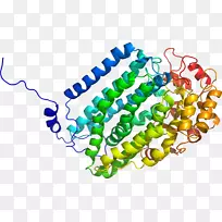 人体首饰有机体线剪贴画线-空若网 人体首饰有机体线剪贴画线-空若网