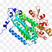 线点生物剪贴画线-空若网 线点生物剪贴画线-空若网