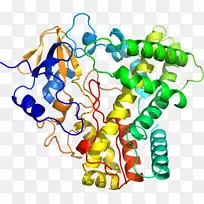 艺术身躯珠宝树线剪贴画-树-空若网 艺术身躯珠宝树线剪贴画-树-空若网