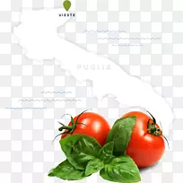 ����ӣ�ҷ��Ѽ�����-������-������