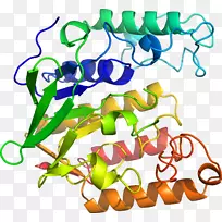 车身珠宝厂茎线剪贴画线-空若网 车身珠宝厂茎线剪贴画线-空若网
