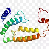 人体首饰有机体线剪贴画线-空若网 人体首饰有机体线剪贴画线-空若网