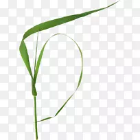 ֲ�ﾥ�ݼ�����-������