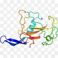 线点生物剪贴画线-空若网 线点生物剪贴画线-空若网