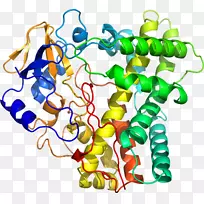 �����鱦������������-��-������