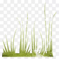 ����ݲݱ�ֲ��-������