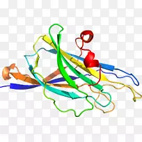 线点生物剪贴画线-空若网 线点生物剪贴画线-空若网