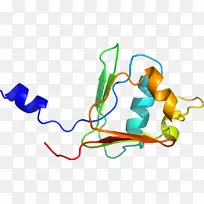 线点生物剪贴画线-空若网 线点生物剪贴画线-空若网