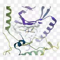 �������/m/02csf��ͼ-���-������