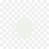 昆虫桌面壁纸电脑传粉机壁纸昆虫-空若网 昆虫桌面壁纸电脑传粉机壁纸昆虫-空若网