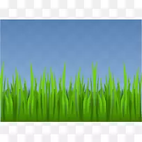 ²Ýƺ²Ý»¨Ô°¼ôÌù»-¶¯»²Ý¼ôÌù»-¿ÕÈôÍø ²Ýƺ²Ý»¨Ô°¼ôÌù»-¶¯»²Ý¼ôÌù»-¿ÕÈôÍø