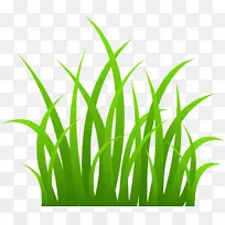 Ãâ·ÑÏÂÔØ¼ôÌù»-¶¯»²Ý¼ôÌù»-¿ÕÈôÍø Ãâ·ÑÏÂÔØ¼ôÌù»-¶¯»²Ý¼ôÌù»-¿ÕÈôÍø