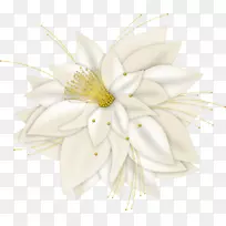 ��������л�����-������