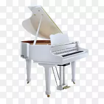 ���ָ���-�������ּ���-����-������