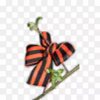 �����ɫ�����Ͷ�Ĥ�ն�-����-������