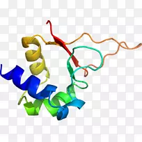 人体首饰有机体线剪贴画线-空若网 人体首饰有机体线剪贴画线-空若网