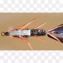 人工蝇虫-空若网 人工蝇虫-空若网