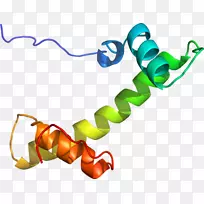 昆虫身体珠宝线剪贴画.昆虫-空若网 昆虫身体珠宝线剪贴画.昆虫-空若网