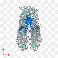 ������������ʯ����.�鱦-������