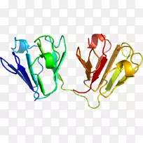 蔬菜茎线夹艺术-蔬菜-空若网 蔬菜茎线夹艺术-蔬菜-空若网