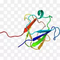 �ߵ������-��-������