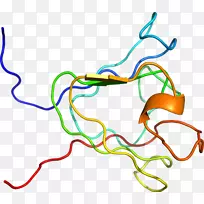 �ߵ������������-������