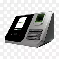 ���Ӷ�ý�����-������