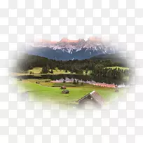 ���������ƾ�������Ҷɫ��-������