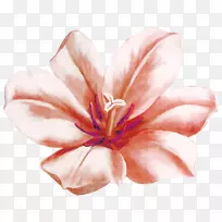 水彩画花手绘花-空若网 水彩画花手绘花-空若网