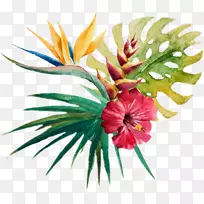 ˮ�ʻ�����ˮ�ʻ���˰-���-������