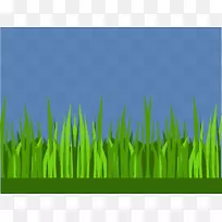 ������-�����ݼ�����-������