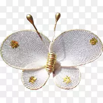 蝴蝶昆虫-蝴蝶-空若网 蝴蝶昆虫-蝴蝶-空若网