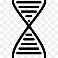 dna计算机图标核酸双螺旋-科学-空若网 dna计算机图标核酸双螺旋-科学-空若网